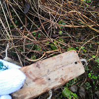 �������ġ�һ��Сľͷ�м��οգ��������Ӿͳ���һ��ʵ��С����