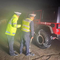 ���ű��۱���������ɽ��̨��7��95���������Ǵ��賿æ������