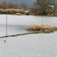 �������ġ��������ж��񣬺ܶ��������ٹ���ȥ������