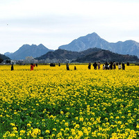 �����ġ��Ͳ˻���