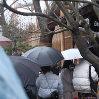 �㽭�׼� ������ꡪ�������Ŷ��볡��������������