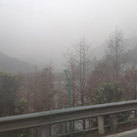 еĻ̶֮