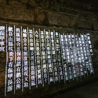 �ƹ�������Ƶ�ͦ����