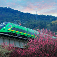 �ٺ���ɰ�÷������