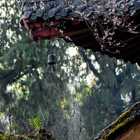 �����ġ�÷������