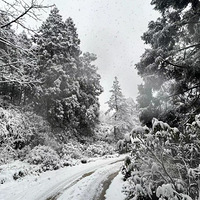 22��2��17��֮��̨ѩ��