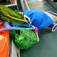 ͩ����г����