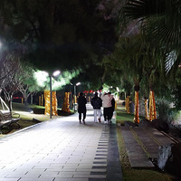 ����Ӱ2022����̨�ݡ�ҹɫ����-20220219-����