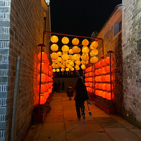 �����Ͻ�����һ��Ҳû��˼�����ǰ���ÿ���������ϣ�