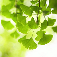 ���������ڴ������ʵ�Ƕ�S�ڴ����������û��ͬ�У�