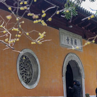 һ��һľ�Ծ߷���