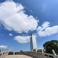 ��Υ���������