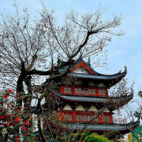 ��ů������һ��������b�Ͻ֣��򿨹����ڴˡ�