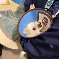 ��������������