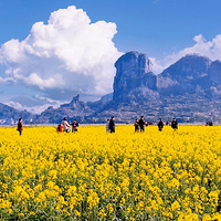 ����ҽ�ʮ���