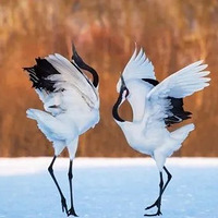 ��������֮Լ����һ��������������ɳ����ʼ��ļ����