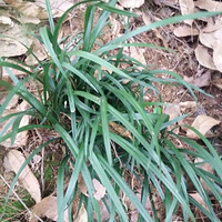 �쳾���а����ߣ�ĪЦ����̫�տ�