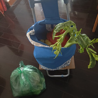 ȥͩ����г���ˣ����������ա�