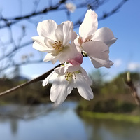 [������]ӣ������ʱ��