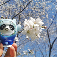 ��̨�ݴ�ɫ�����Ŷ���ȥ�ͻ�