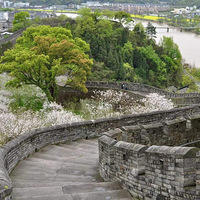 ̨�ݸ�������