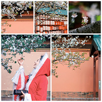 ӣ��ζ�Ĵ���