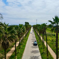 ��鵴���������̵����Ͳ˻����ͧ��ͷ������ȫ������