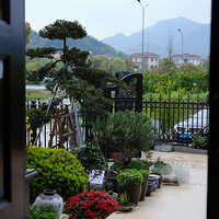 �����ټ�