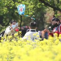 �������絽��������Ϊ�� �ں�����½�����25������