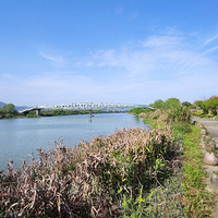 ����Ӱ2022����̨�ݡ���������-20220404-����