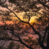 ̨���ճ��ƽ���