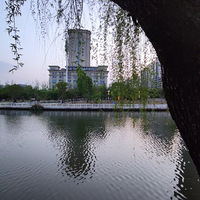 ����Ӱ2022����̨�ݡ��ӱ�ˮ��-20220410-����