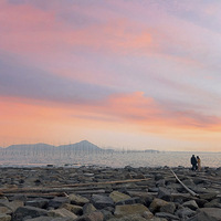 �ƽ�������