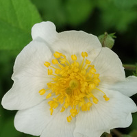 ҰǾޱ�Ĵ���