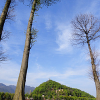 �齭�ϰ��ٴ�ɫ