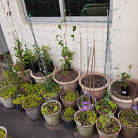 ������¶̨��԰   ��������ʱ���Ѹ��£�