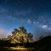 �滨�������ǿ�