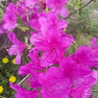 ��ʶ�˼��̻𣬳����˼��ζ��