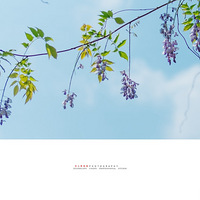 ��Щ����