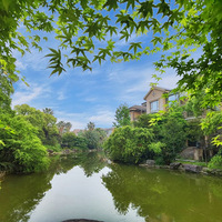 ������ķ�Ҷ����ͥ��԰