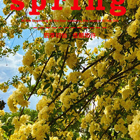 һ������һ�۾���#ľ�㻨