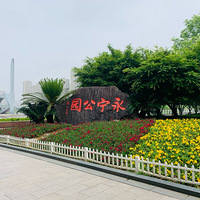 ��Щ�������ֲ���������