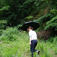 ��ɽ���顿������������