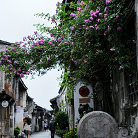 �����ֵĻ�