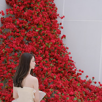 ������Ժõ��ǽ