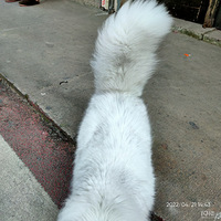 �������ġ�Բ�����ģ���β�ͣ��һ���Ϊ��С��