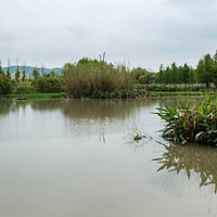 黄岩江口安然湿地公园打卡晒图