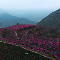 ���£���ҩ����