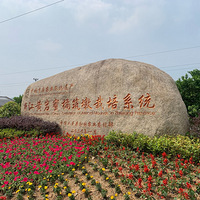 澄江旅游风情小镇