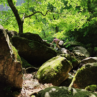 ����Ӱ2022����̨�ݡ�������ˮ-20220503-�ŷ�